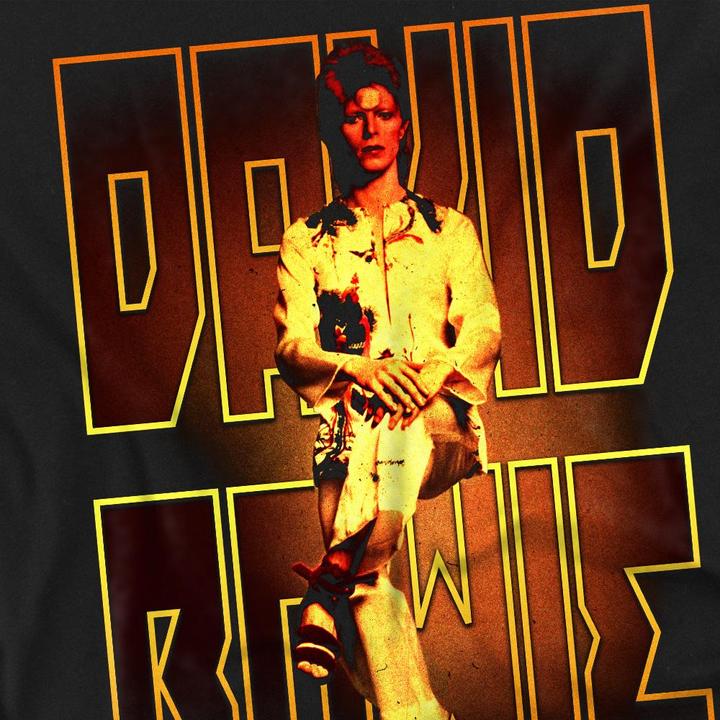 Actual product image David Bowie Mens Perched T-Shirt (3XL)