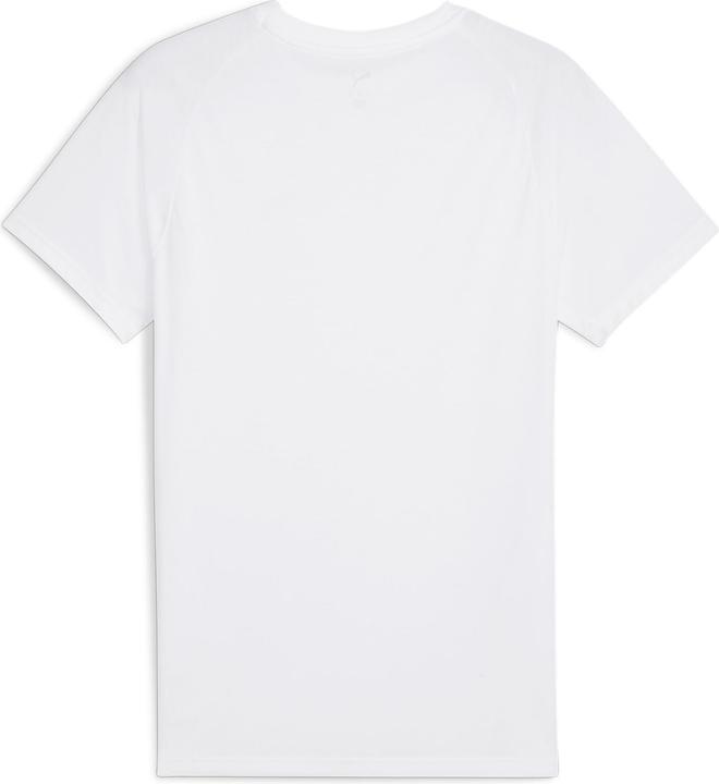Actual product image Puma EVOSTRIPE Tea (M)