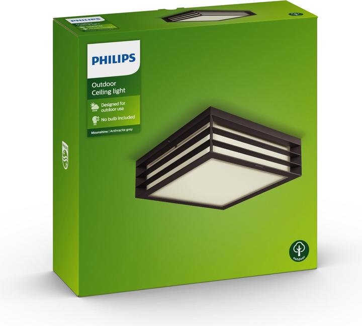 Image du produit Philips Moonshine (2480 lm, E27, IP44)