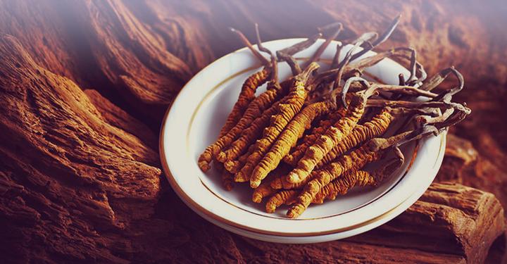 Produktbild Zimmerli Adaptogene Cordyceps Kapseln (BIO) 50 Kapseln (1 Stück, Kapseln, 25 g)