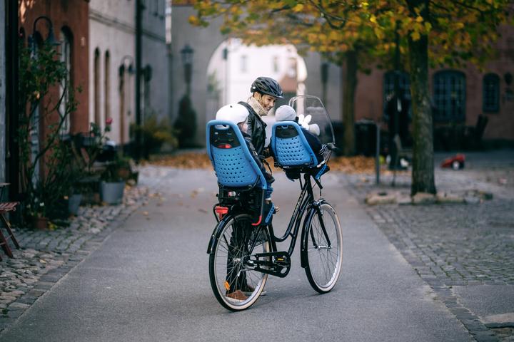 Actual product image Thule Yep Maxi (Seat tube)