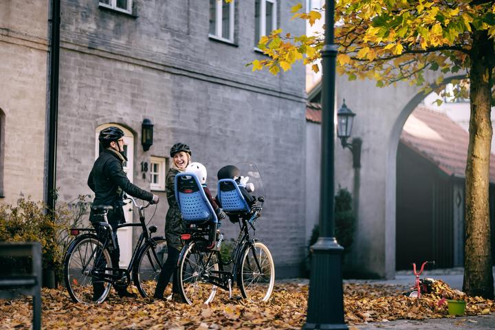 Actual product image Thule Yep Maxi (Seat tube)