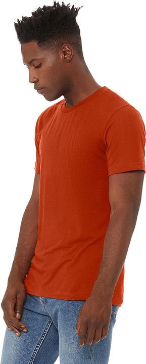 Produktbild Bella Canvas Canvas Triblend TShirt mit Rundhalsausschnitt (L)