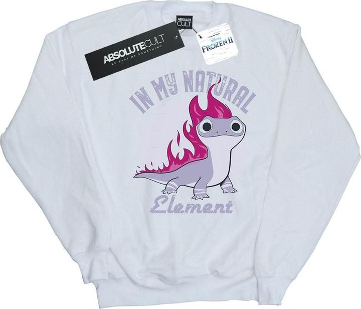 Actual product image Disney Mens Frozen 2 Salamander Bruni Element Sweatshirt (XXL)