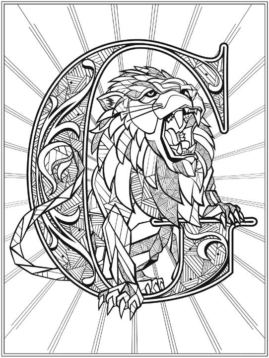 Image du produit Panini Les films de Harry Potter : Le livre officiel de coloriage : Gryffondor