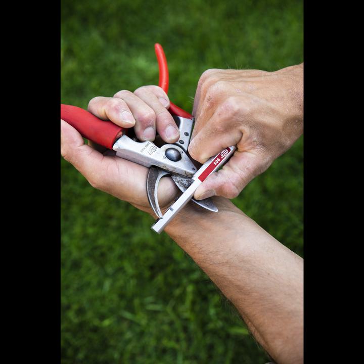Actual product image Felco 905