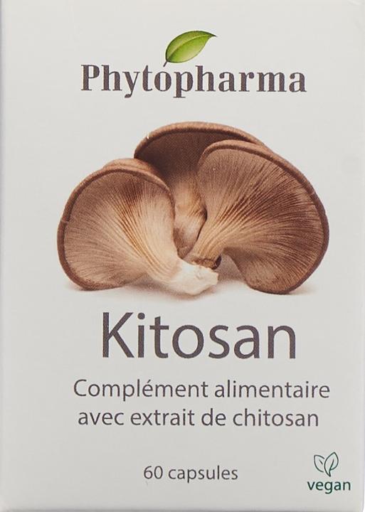 Immagine prodotto Phytopharma Tappi Kitosan (60 Pezzo/i, Pillole, 55 g)