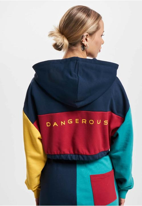 Image du produit Dangerous DNGRS Sweat à capuche 4C - 139053 (XS)