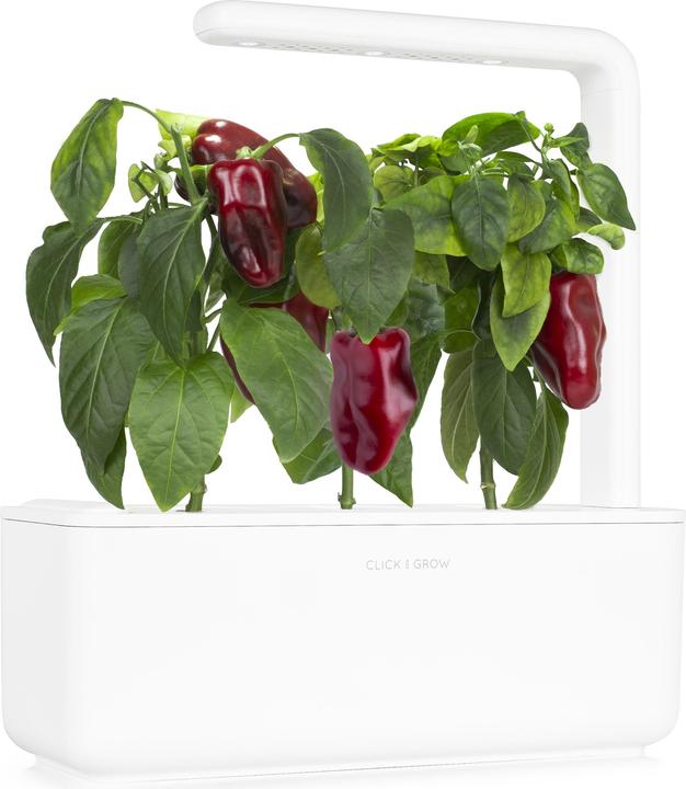 Image du produit Click and Grow Recharge Click & Grow Smart Garden Red Sweet Pepper 3pc (Graines de légumes)