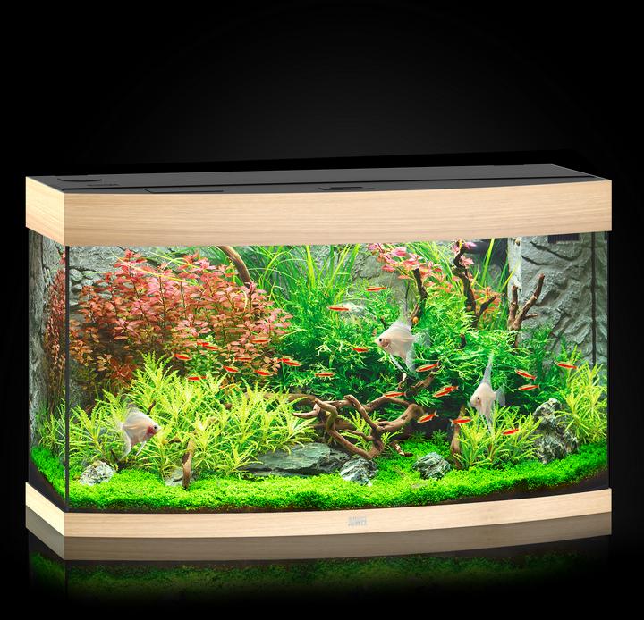Produktbild Juwel Aquarium Vision 180 LED (180 l)