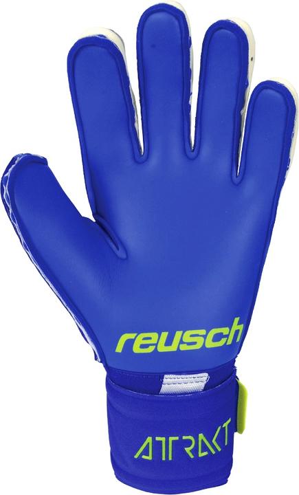 Immagine prodotto Reusch Guanto da portiere Attrakt Duo (9.5)