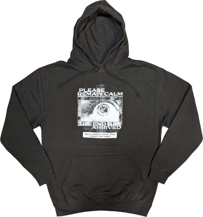 Actual product image Bring Me The Horizon Unisex Adult Remain Calm FP Hoodie (S)
