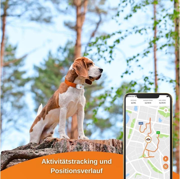 Actual product image Weenect GPS tracker (XS, Dog)