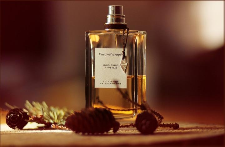 Image du produit Van Cleef and Arpels Bois D'Iris (Eau de parfum, 75 ml)