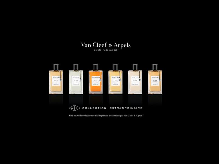 Image du produit Van Cleef and Arpels Bois D'Iris (Eau de parfum, 75 ml)