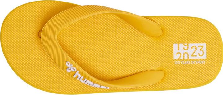 Produktbild hummel Flip Flop Jr (38)