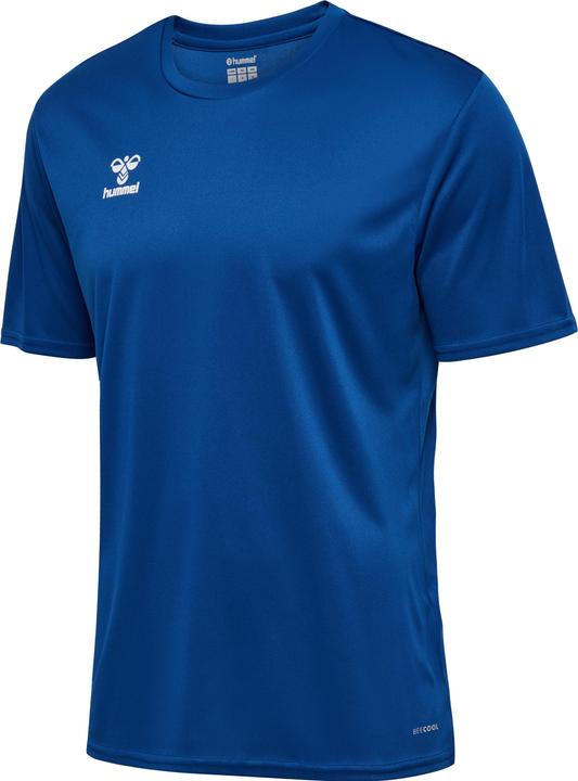 Vrai bleu
