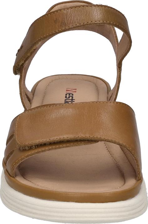 Image du produit Westland 17903-409 (38)