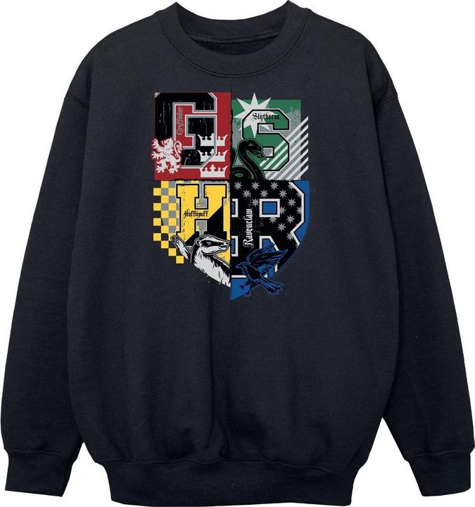 Actual product image Sweatshirt boys (116)