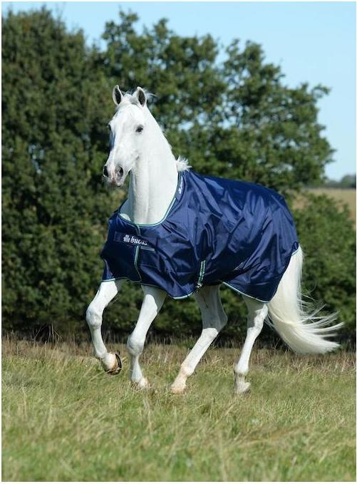 Actual product image Bucas Pasture rug Smartex Rain (145 cm)