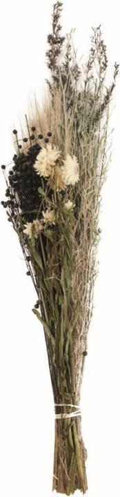 Actual product image Dijk Dried flower bouquet (Dried flowers)