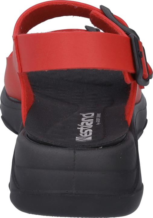 Actual product image Westland 19806-481 (37)