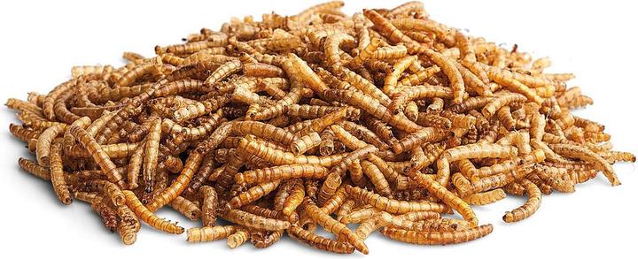 Bunny Lust auf Nature - Assortiment de vers Eco (0.04 kg, 1 x)