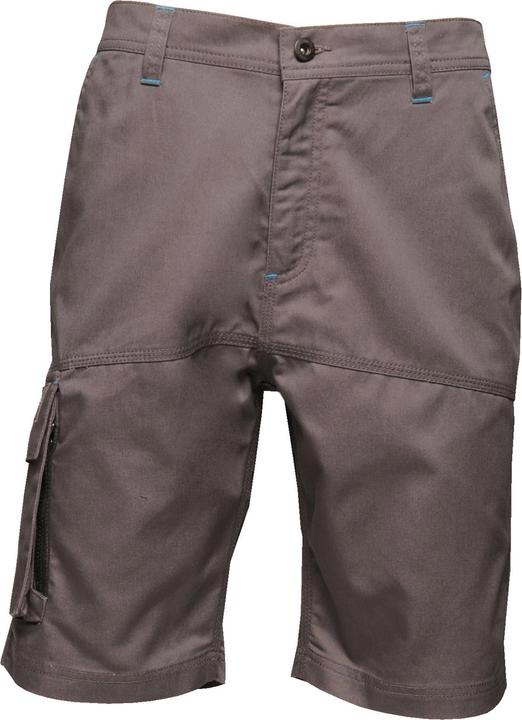 Regatta Heroic CargoShorts