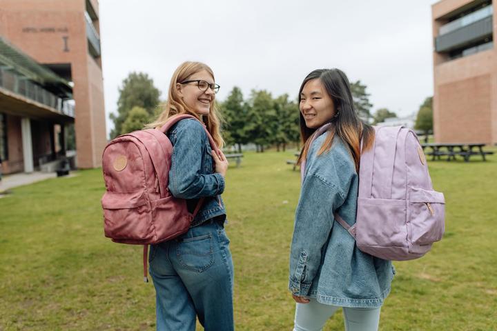 Actual product image Beckmann Sac à dos City (30 l)