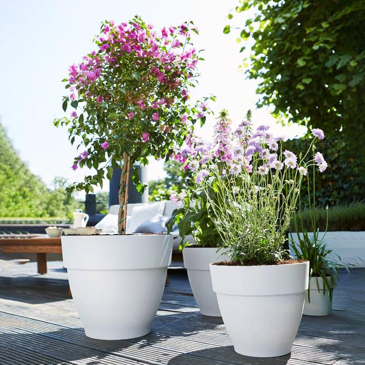 Produktbild Elho Blumentopf (21 cm)