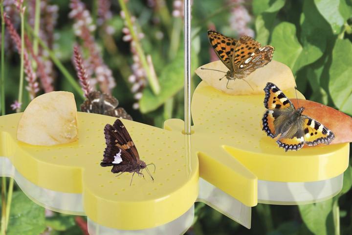 Immagine prodotto Best for Birds Ciotola e abbeveratoio per farfalle 2 in 1