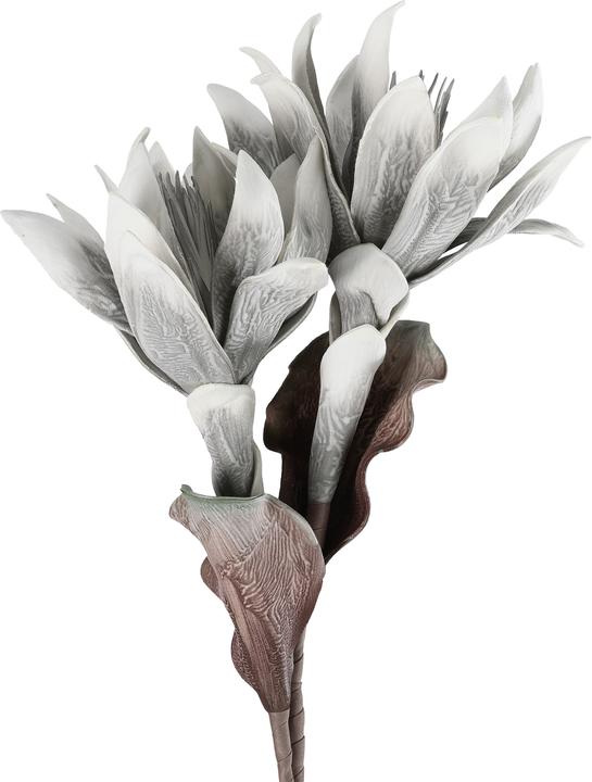 Actual product image EGLO LIVING Molave (28 cm)
