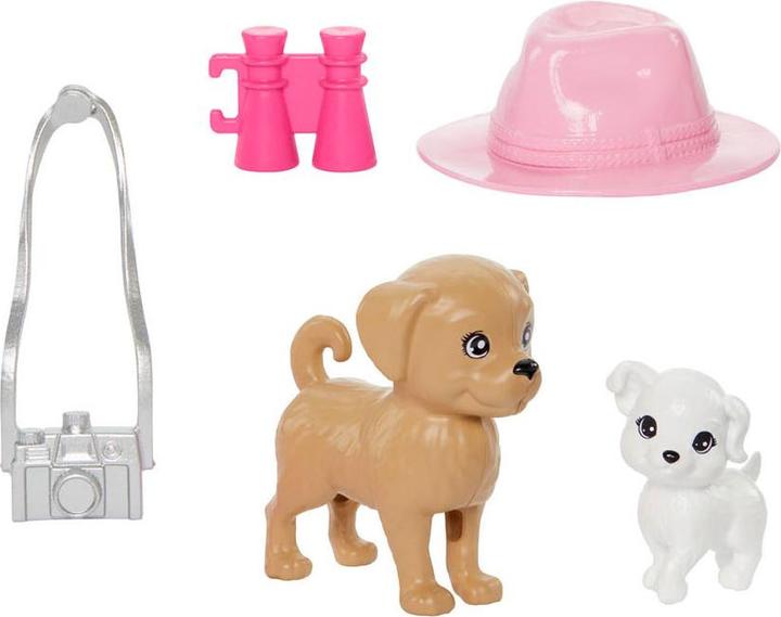 Actual product image Barbie Stacie & 2-Pack