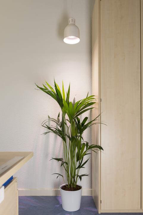 Produktbild Neogard Saga (LED, 230 V)