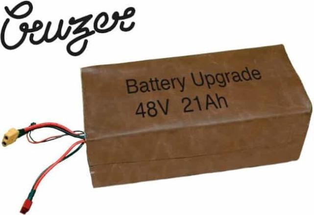 Actual product image Rayvolt RAY Dual Battery 48V - 21Ah Cruzer (E-Bike battery)
