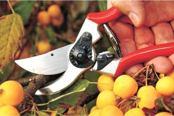 Produktbild Felco Gartenschere 11