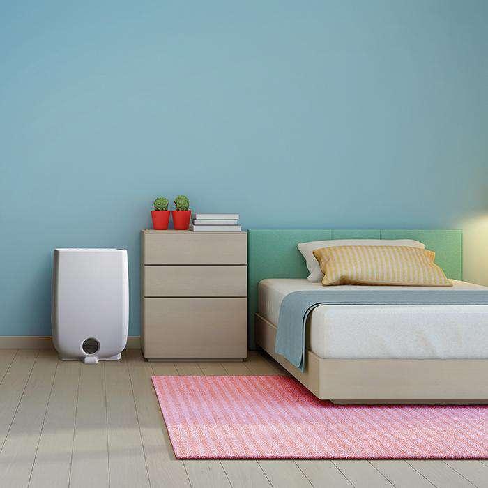 Actual product image Meaco Dd8l Ion (46 m², 8 l/24h)