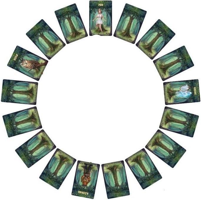 Actual product image The mysterious enchanted forest (German)