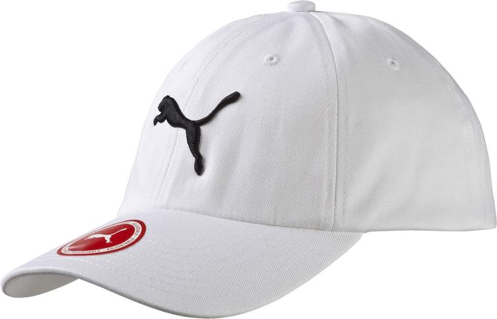Whitebigcat