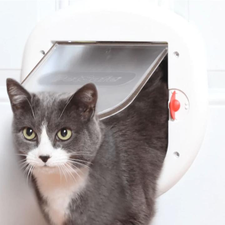 Actual product image Staywell Katzentüren 201 (Manual cat flap)