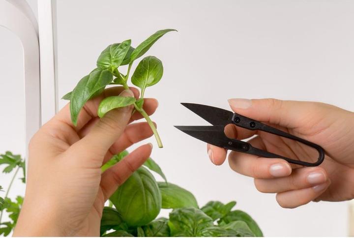 Actual product image Véritable Carbon Steel Mini-Snips