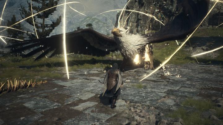 Image du produit Capcom Dragon's Dogma 2 (PS5)