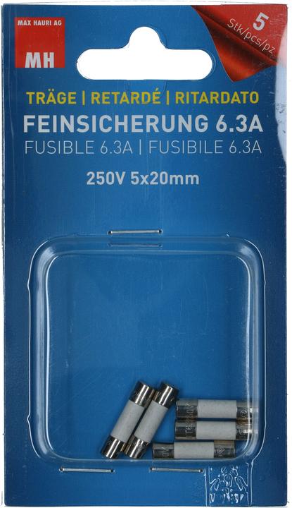 Max Hauri Fine-wire fuse (Micro fuse, 6.30 A, Lazy)