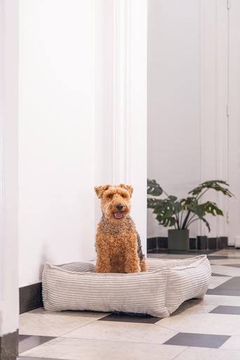 Produktbild Designed by Lotte Liegebett Ribbed (Hund)