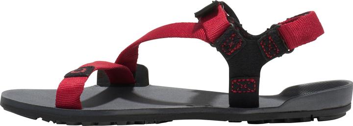 Actual product image Xero Shoes Z-Trail (30)