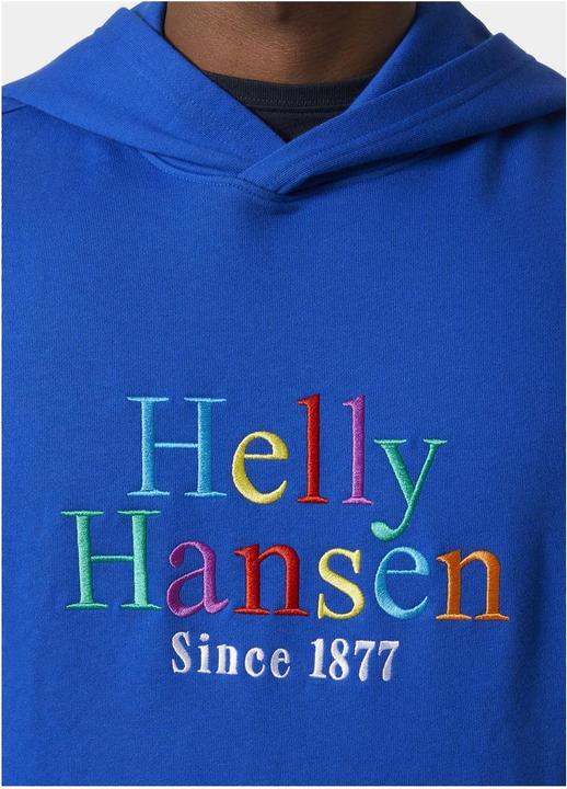 Produktbild Helly Hansen Core Graphic Sweat Hoodie (XXL)