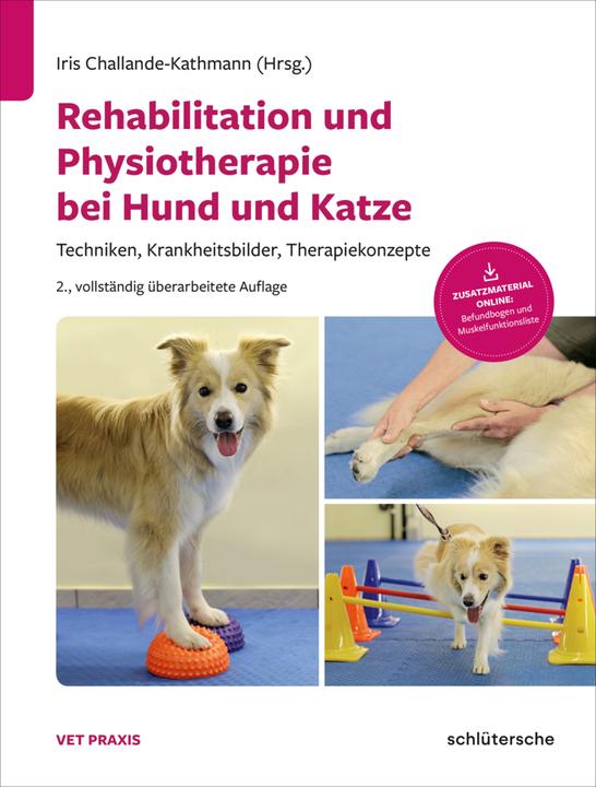 Produktbild Rehabilitation und Physiotherapie bei Hund und Katze (Deutsch, Forterre, Kathrin/Iff, Franck/Herzog, DrIsabelleua, 2020)