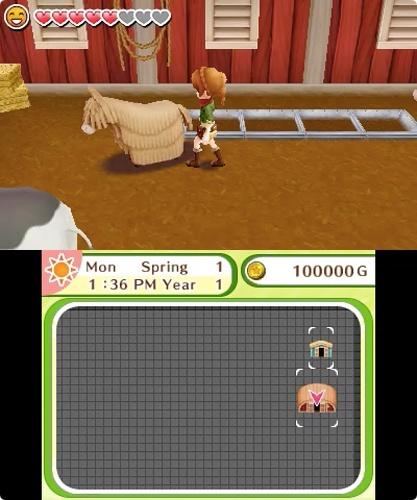 Immagine prodotto Nintendo Harvest Moon: Skytree Village (3DS)