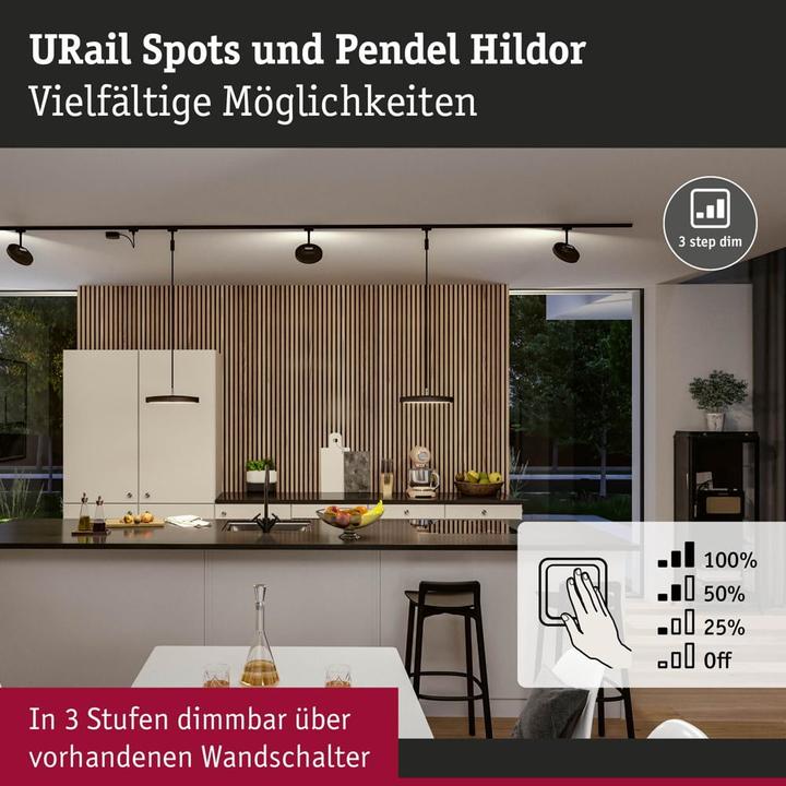 Produktbild Paulmann URail Pendel Hildor (850 lm)