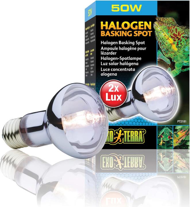 Actual product image Exo Terra Sun Glo Daylight Halogen Lamp 75W (UVB, UVA)